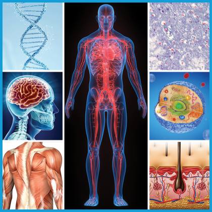 Anatomy& Embryology أهلية